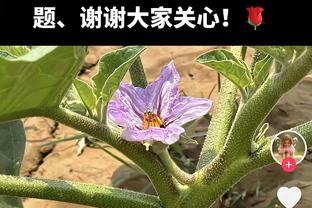 有倒霉蛋！蒙克7分钟送出3次盖帽 平个人生涯纪录